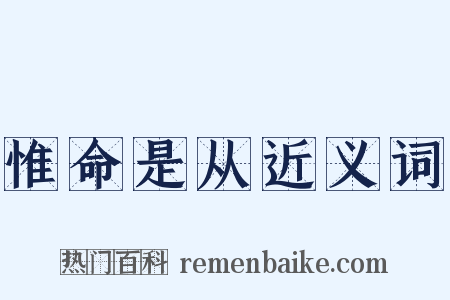 惟命是从近义词是什么意思的图片